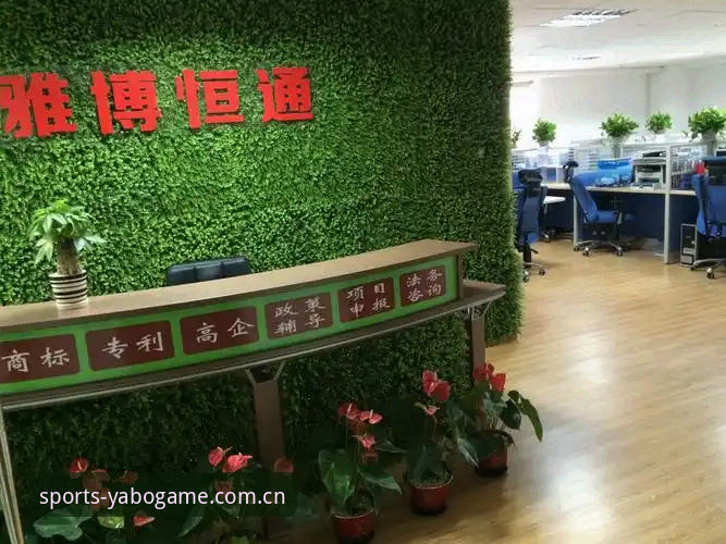 雅博体育官方版下载 vs 第三方渠道：哪种方式更安全高效？全面对比分析